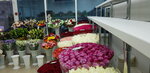 Цветочный рай (Kirovogradskaya Street, вл15А), flower shop