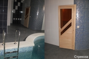 Фото Стрекоза