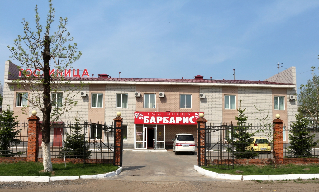 Фото Барбарис