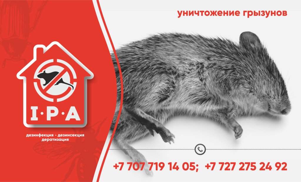 Дезинфекция, дезинсекция, дератизация Disinfaction of Kazakhstan, Алматы, фото
