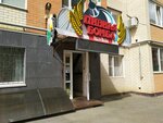 Pivnaya bomba (Tukhachevskogo Street, 21/4), cervecería