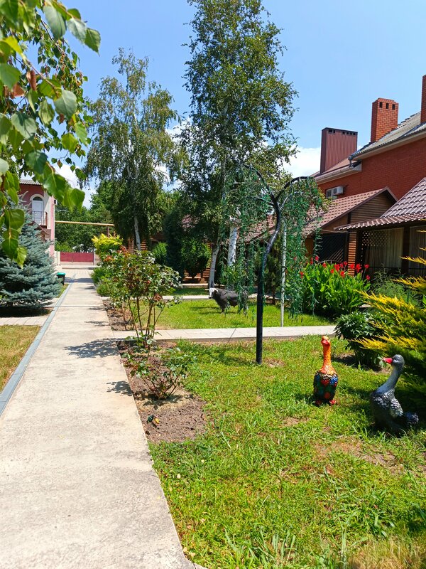База отдыха Крестьянское подворье — фото 44