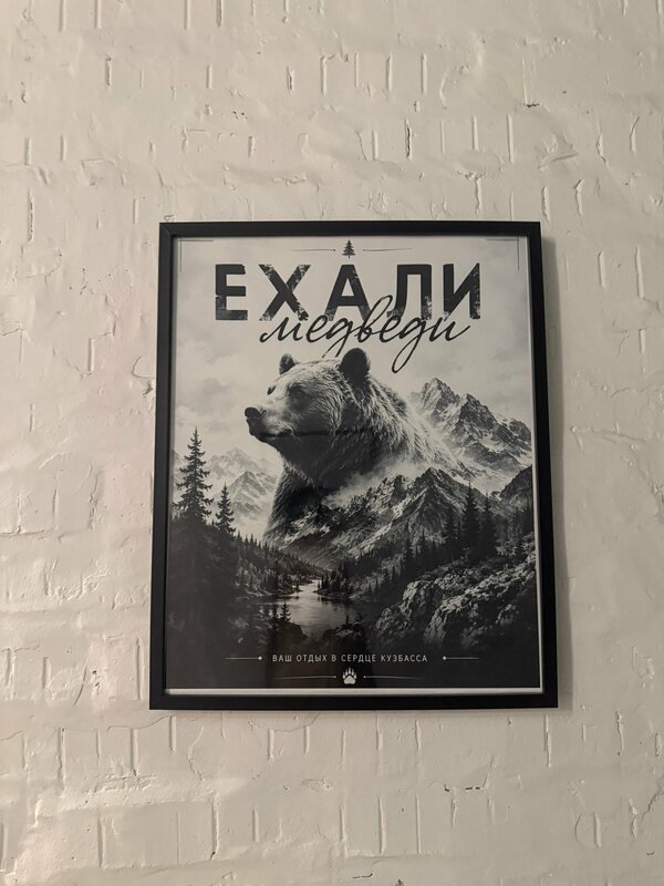 Ехали медведи — фото 3