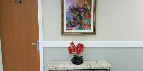 Гостиница Hotel Loureiro в Риу-Бранку