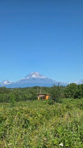 Ипиней  фото 7