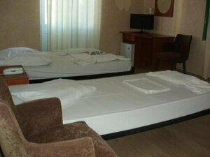 Гостиница Orfeas Hotel