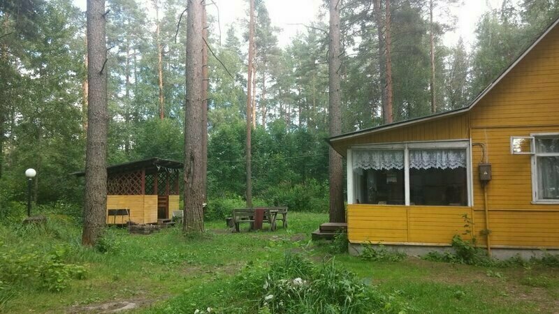 Холодный ручей — фото 40