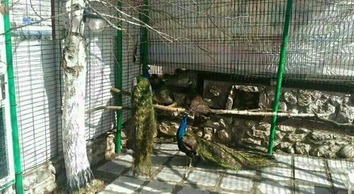Гостиница Хотел Меаца в Кырджалийской области