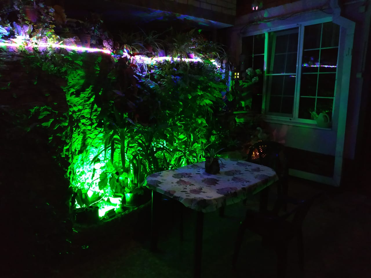 Фото У Людмилы