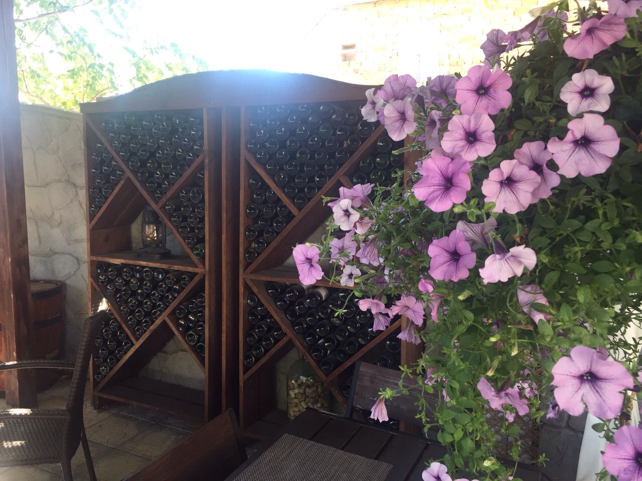 Фото Барракуда