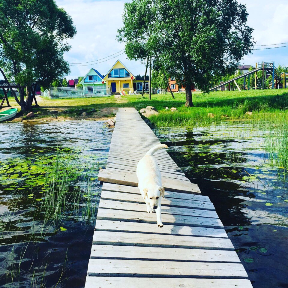 Фото Озеро Врево