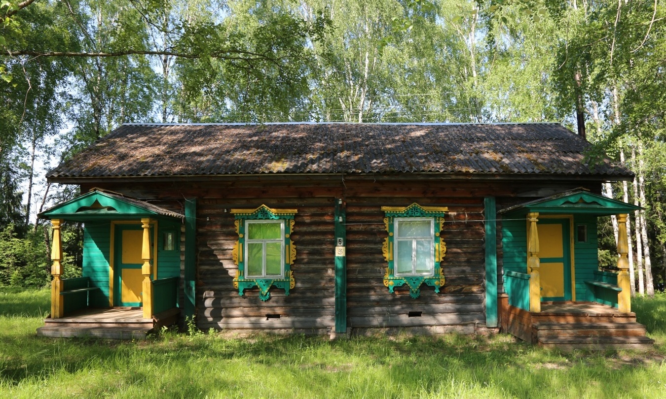 Фото Подсолнухи