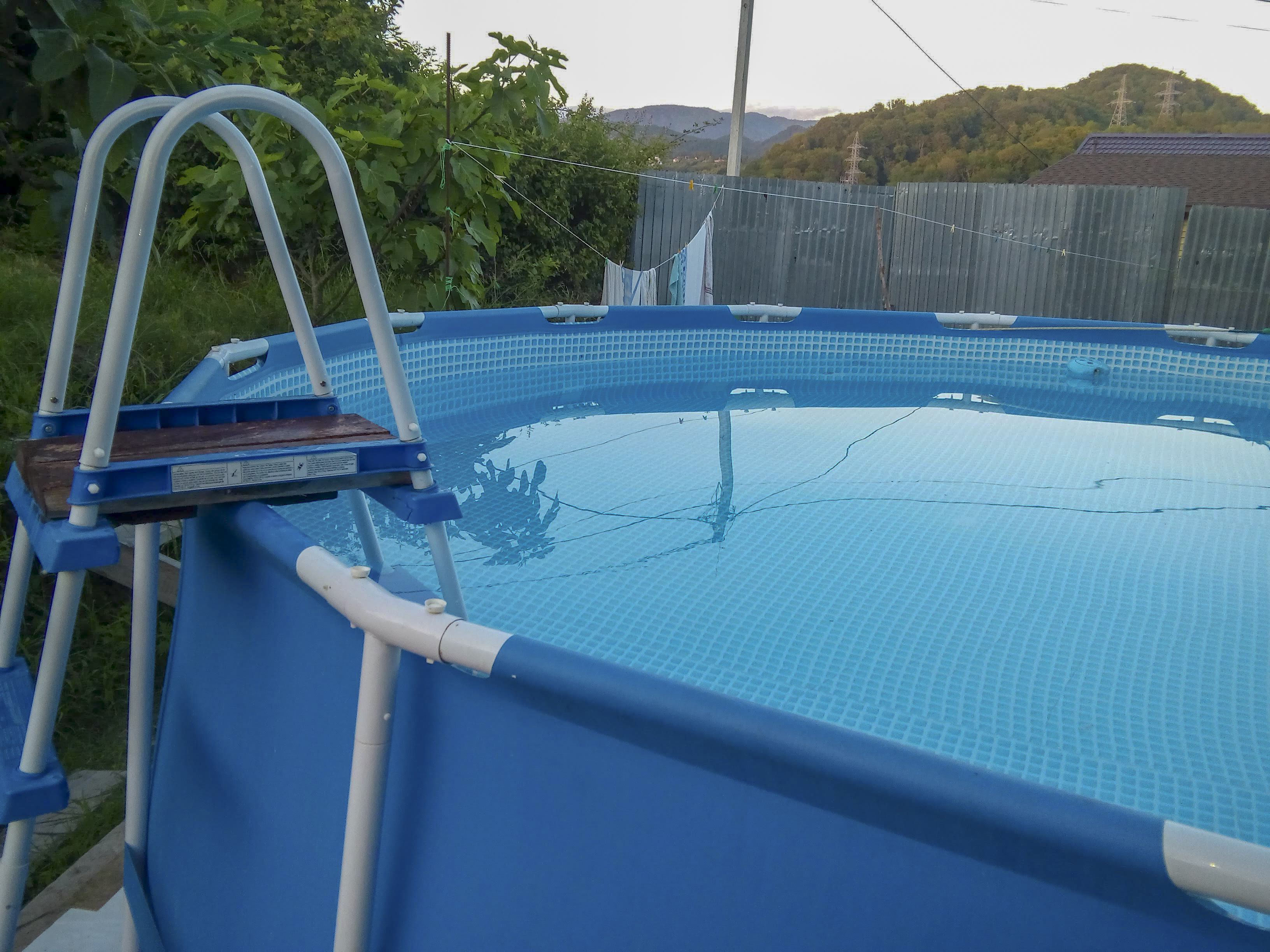 Фото Ласточка