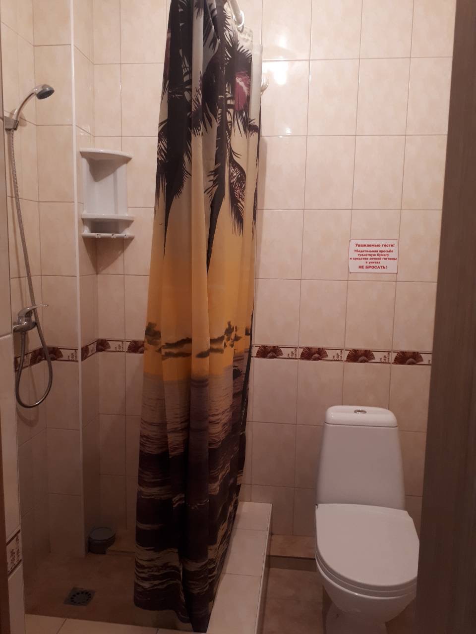 Фото Жасмин