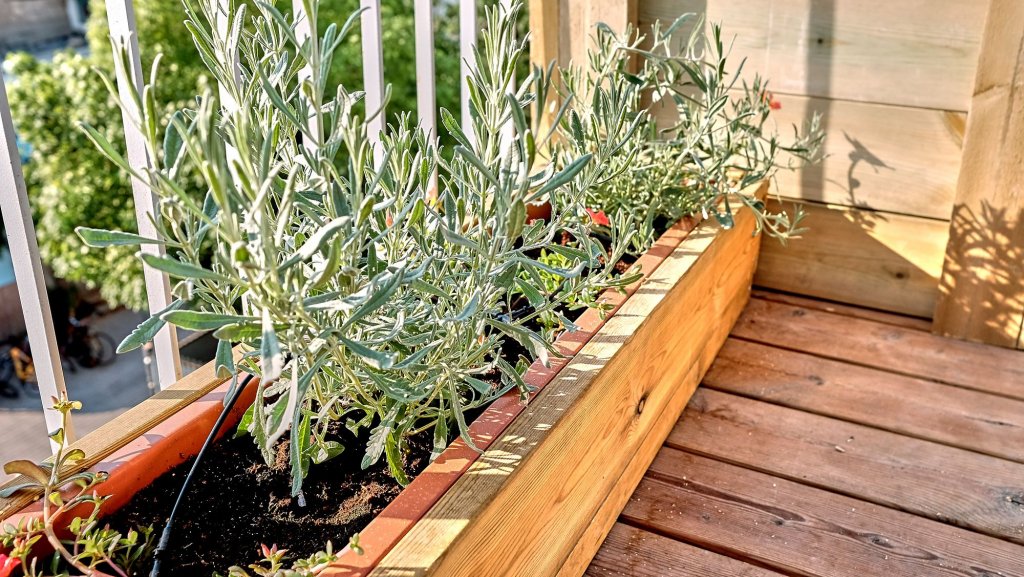 Фото Нордой