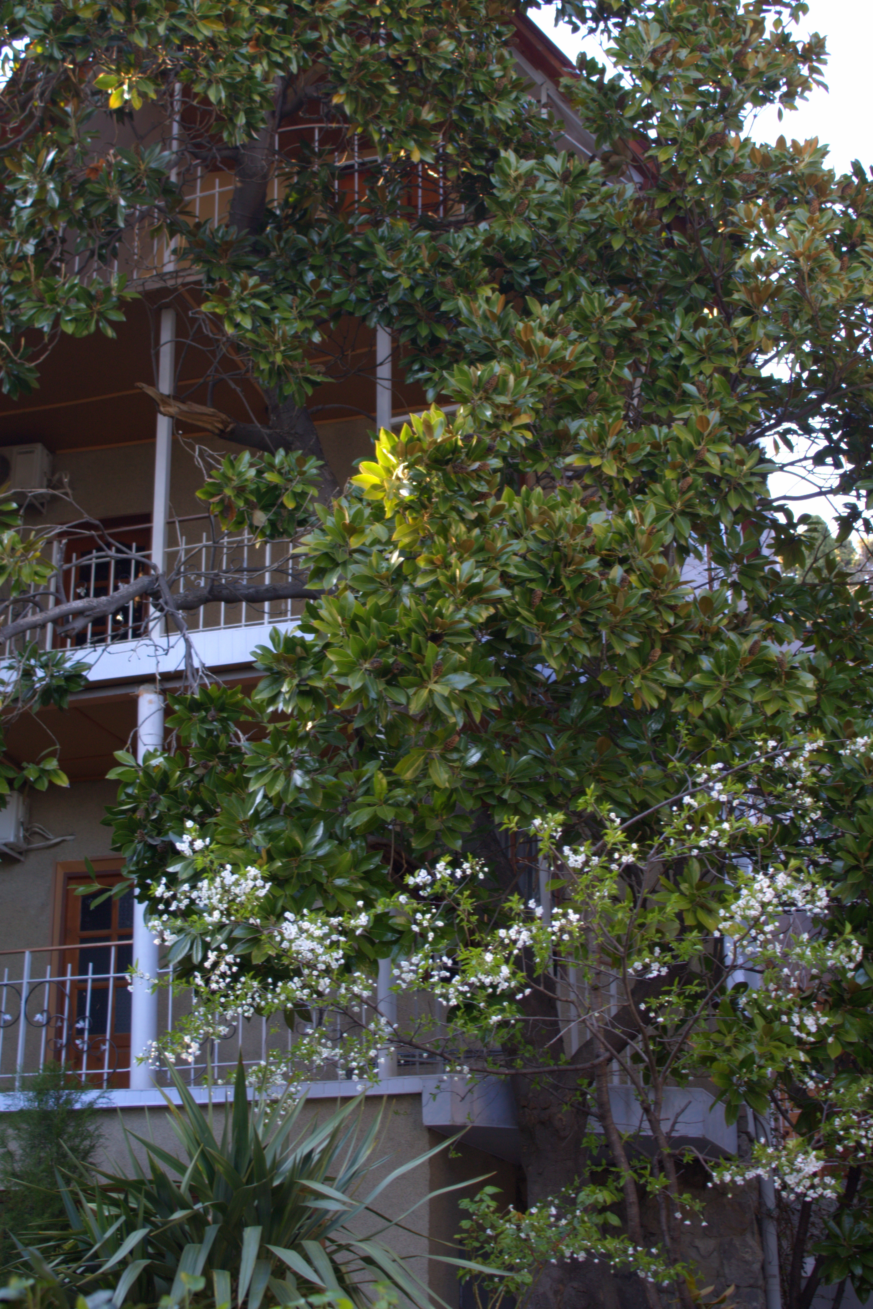 Фото Радмир