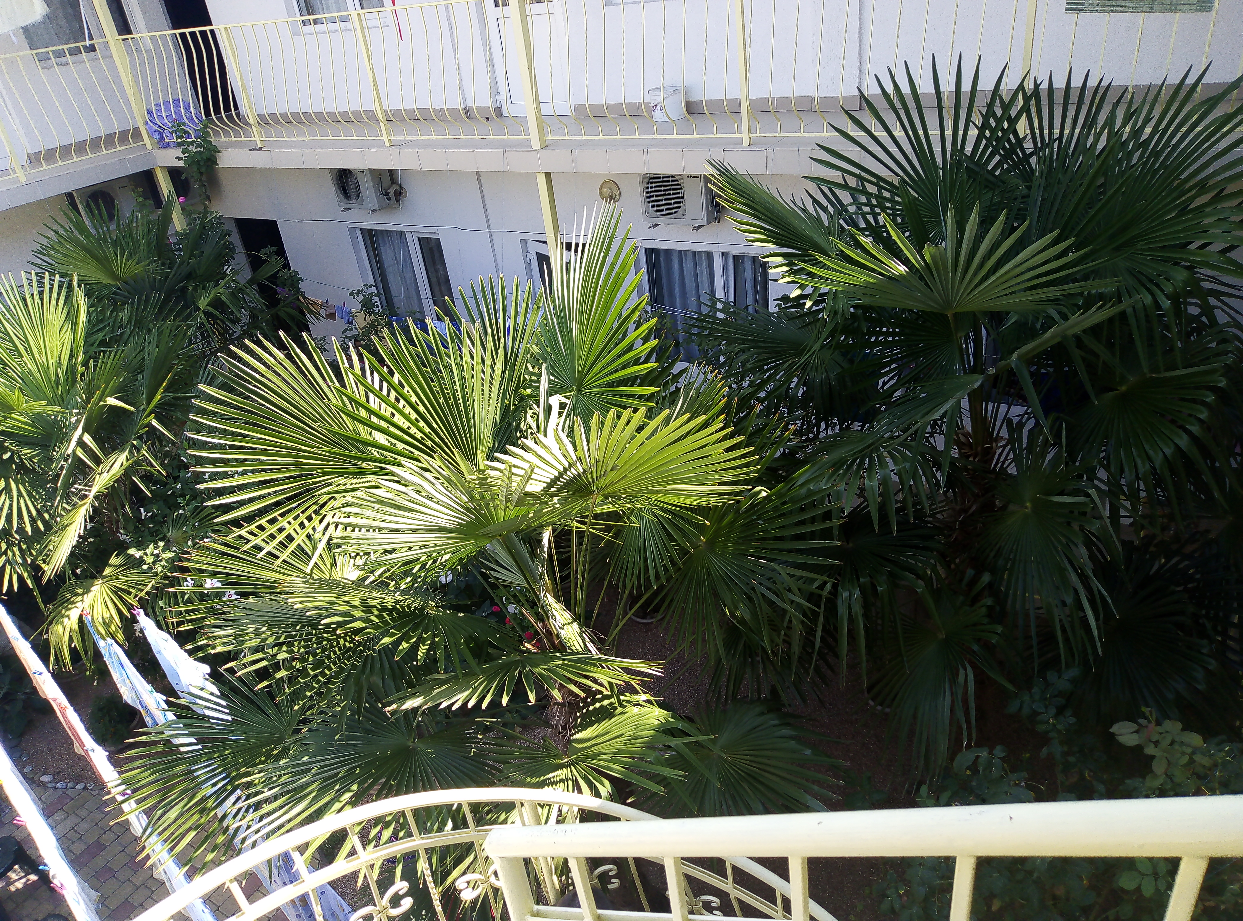 Фото Вилла Эмма