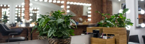 Olya Petrova Beauty Studio (Sadovaya Street, 29В), beauty salon