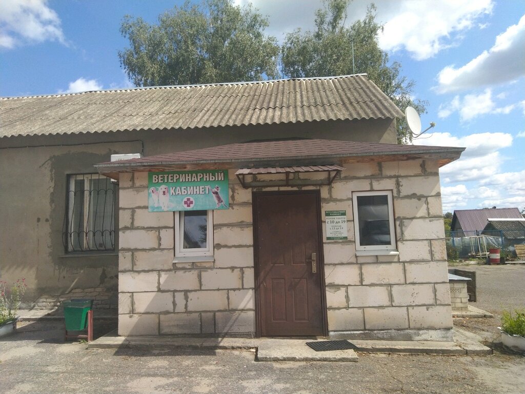 Veterinary clinic Ветеринарный кабинет, Bryansk, photo