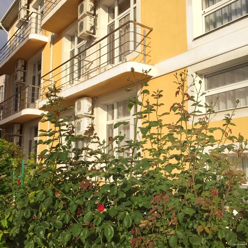 Фото Лучезарный