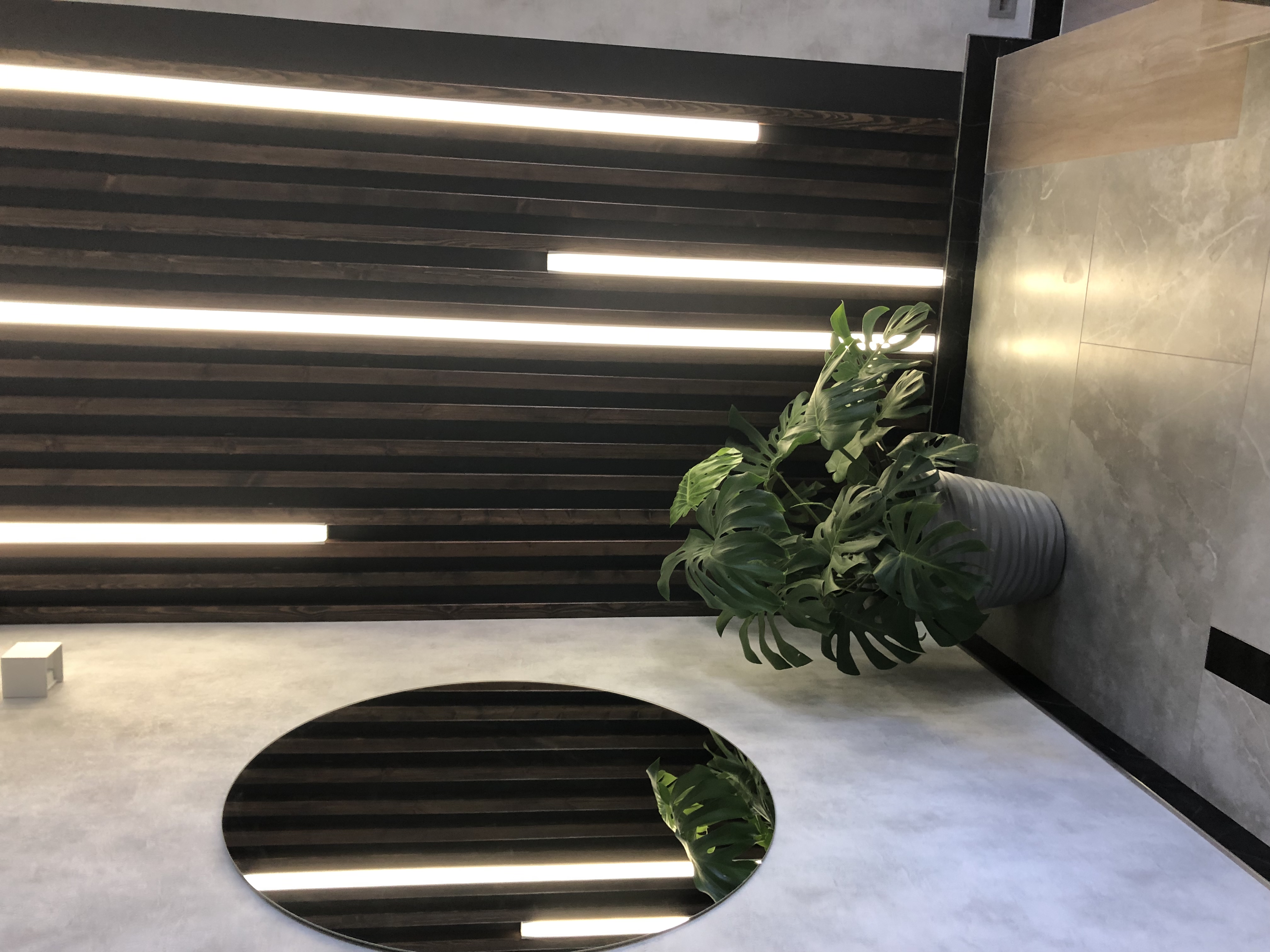 Фото Мавитель