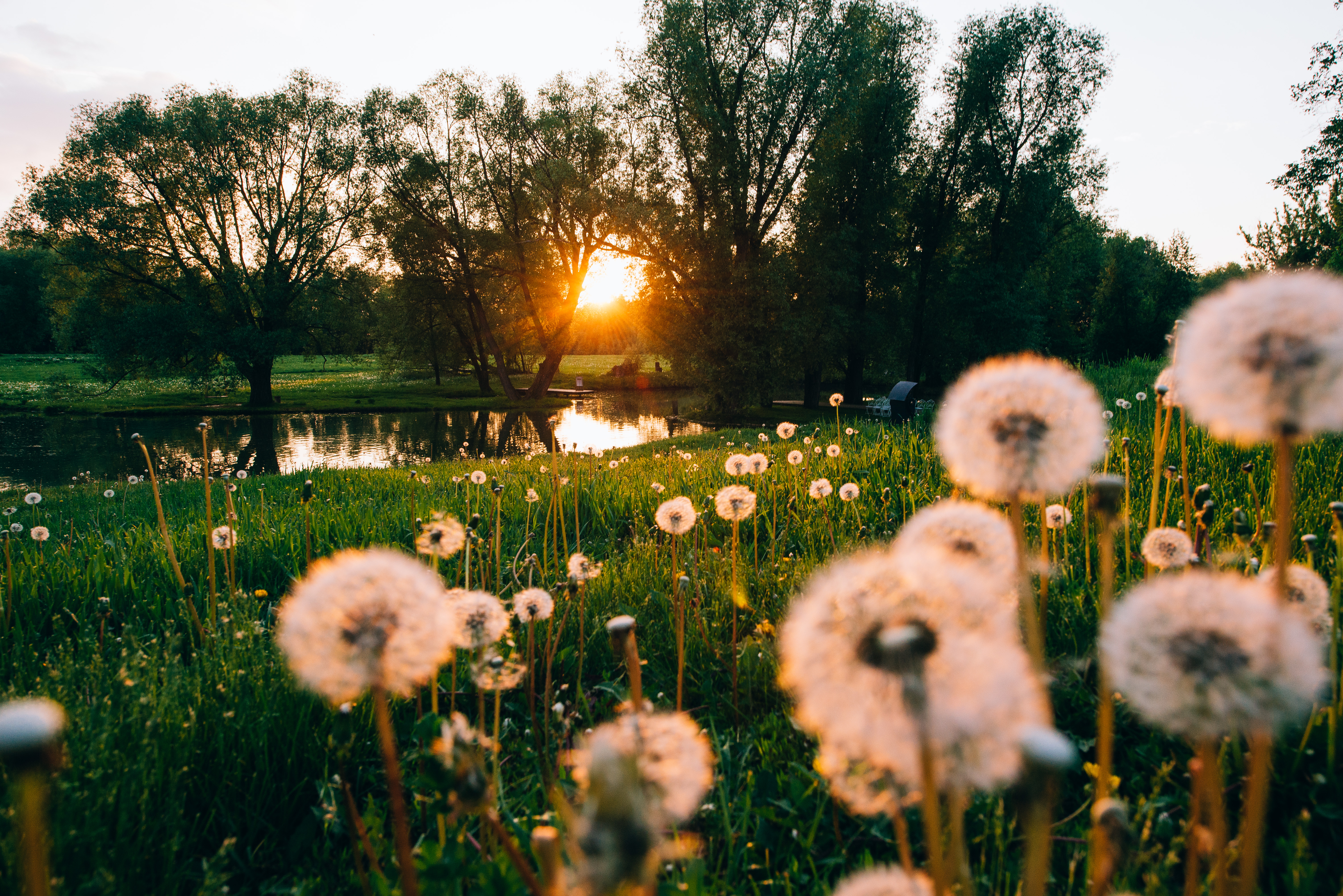 Фото Усадьба Скорняково-Архангельское