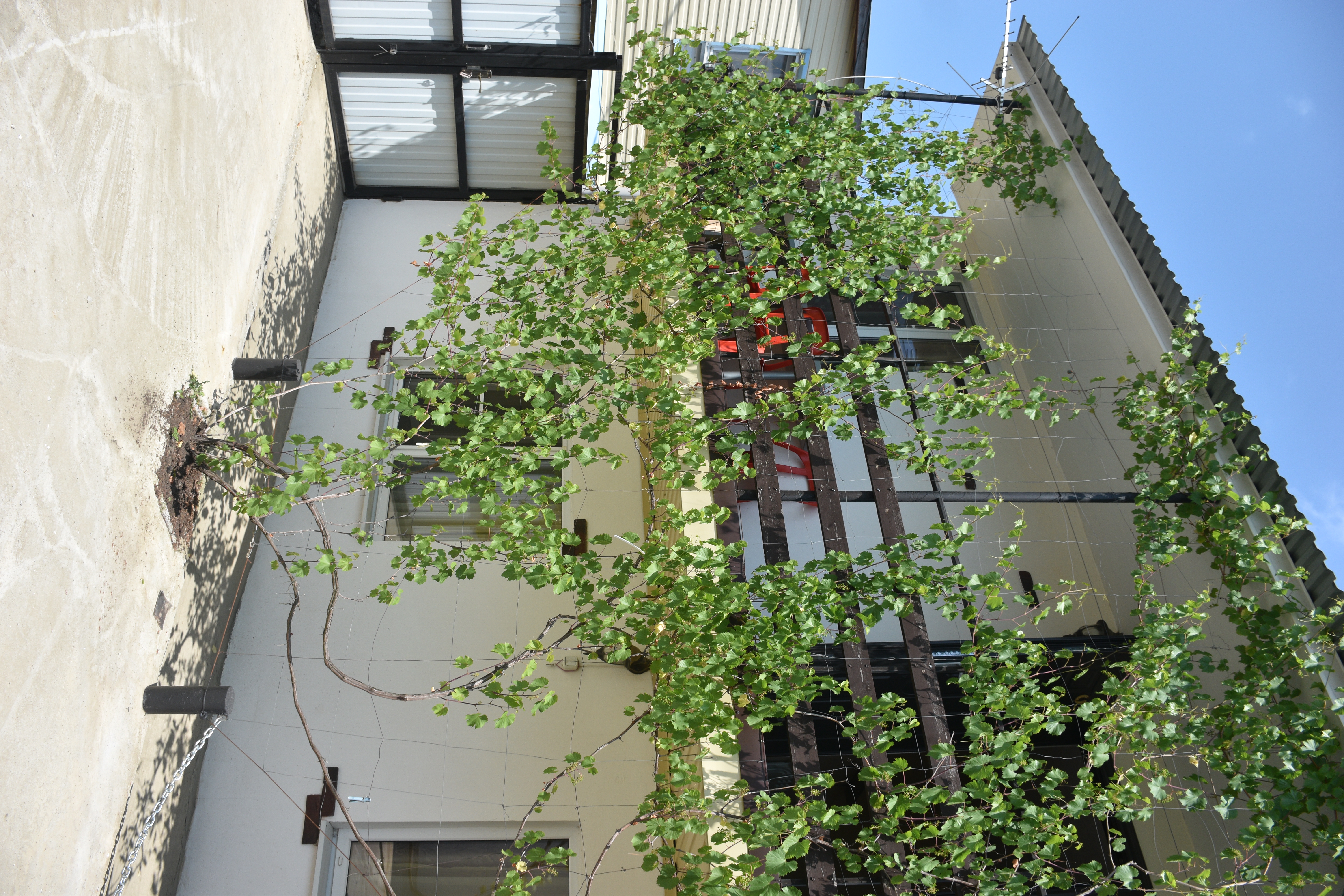 Фото Галина