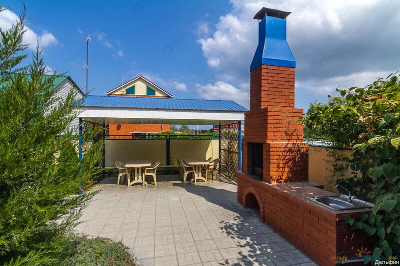 Фото Дельфин