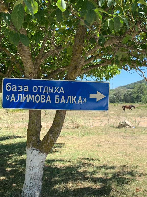 Фото Алимова Балка