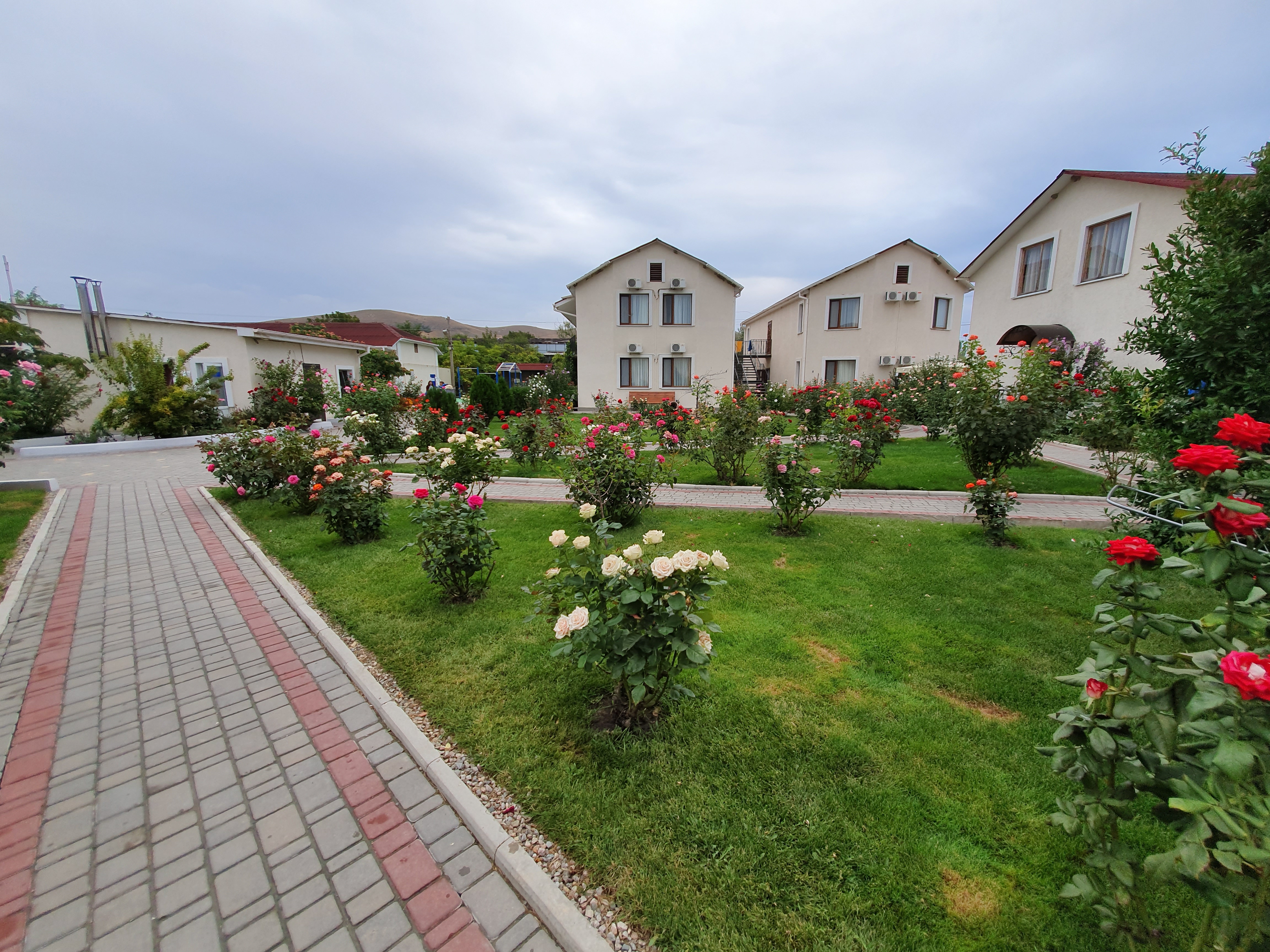 Фото Нарлен