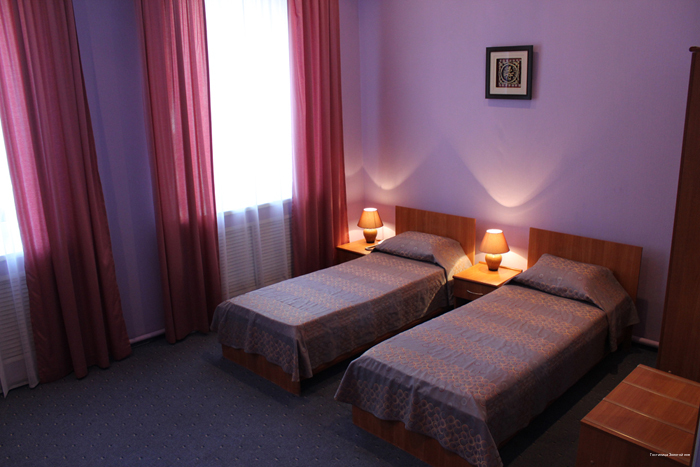 Фото Золотой лев