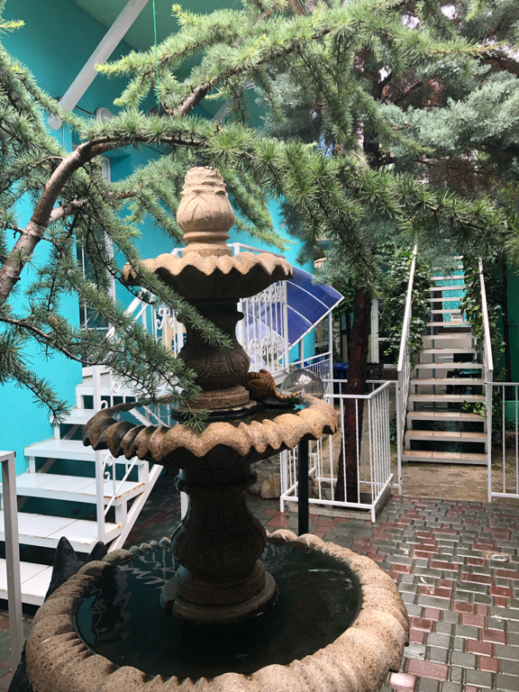 Фото Волшебный дворик