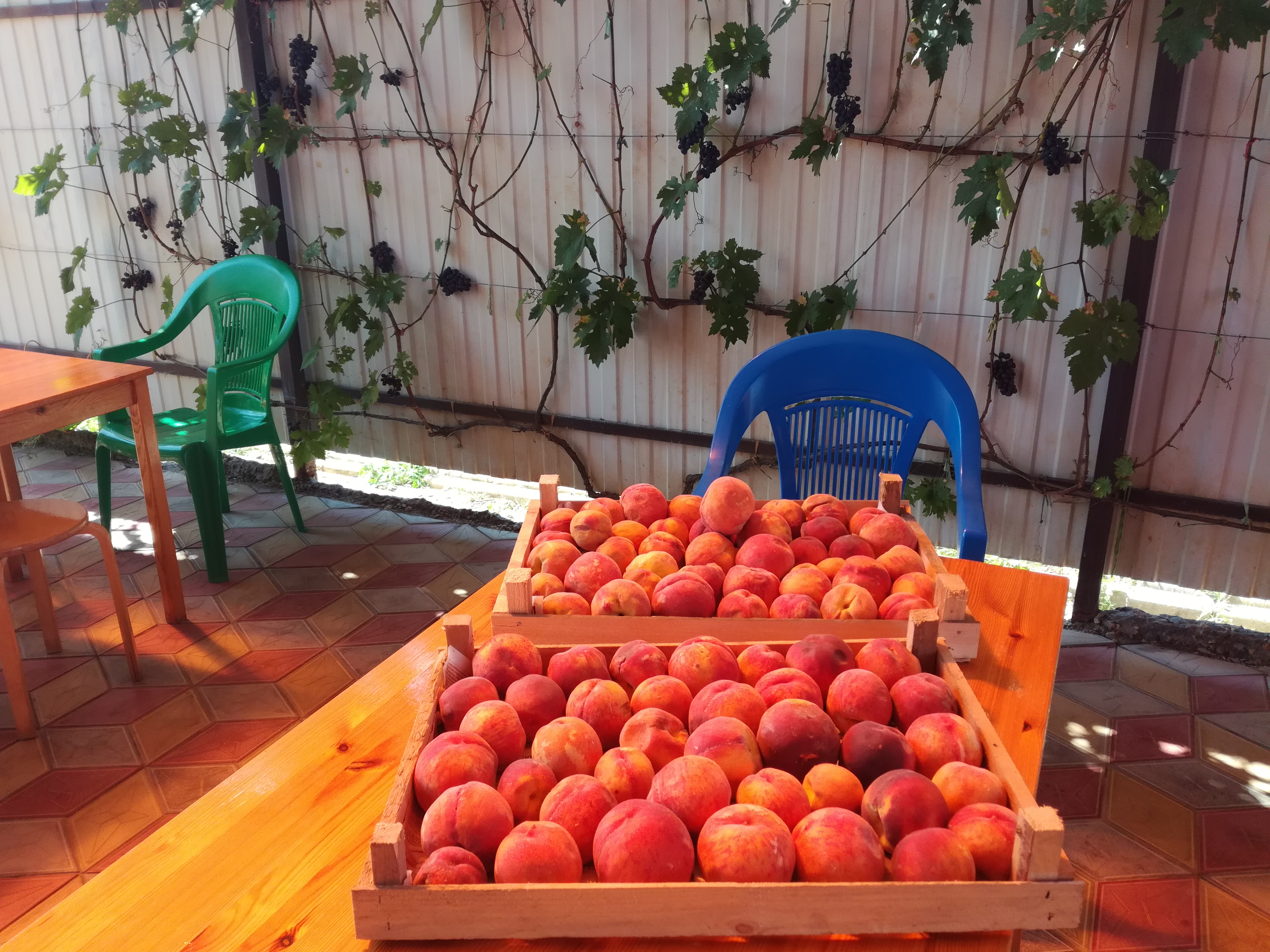 Фото Касабланка