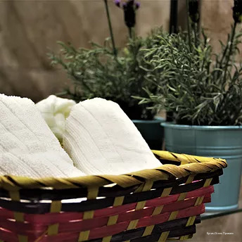 Фото Бутик-Отель Прованс