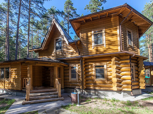 Чайка