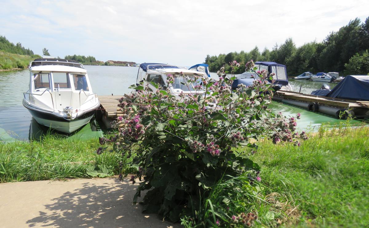 Фото Глаз Орла