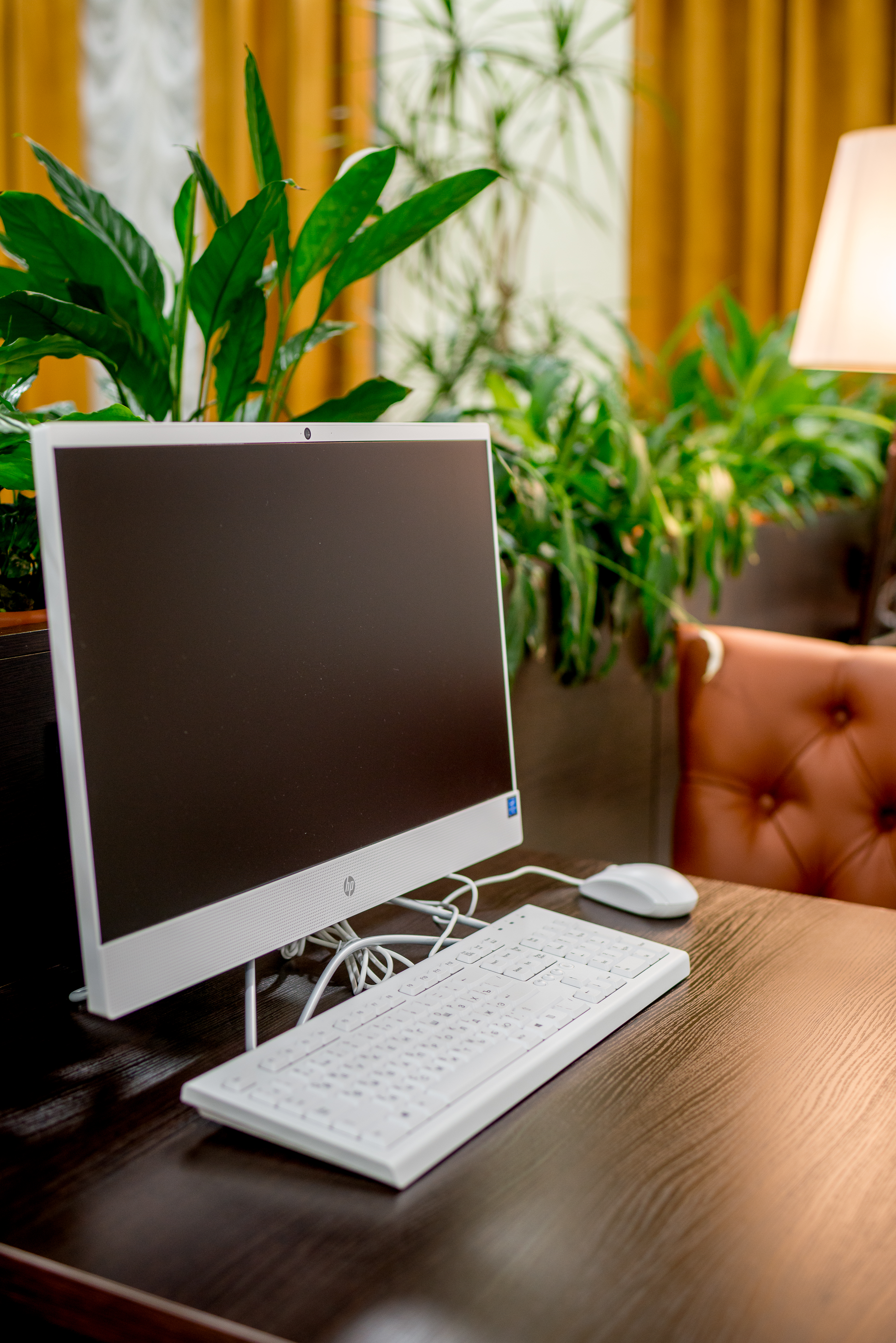 Фото Метрополис