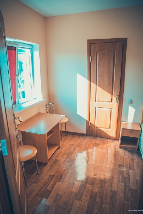 Фото Дельфиниум