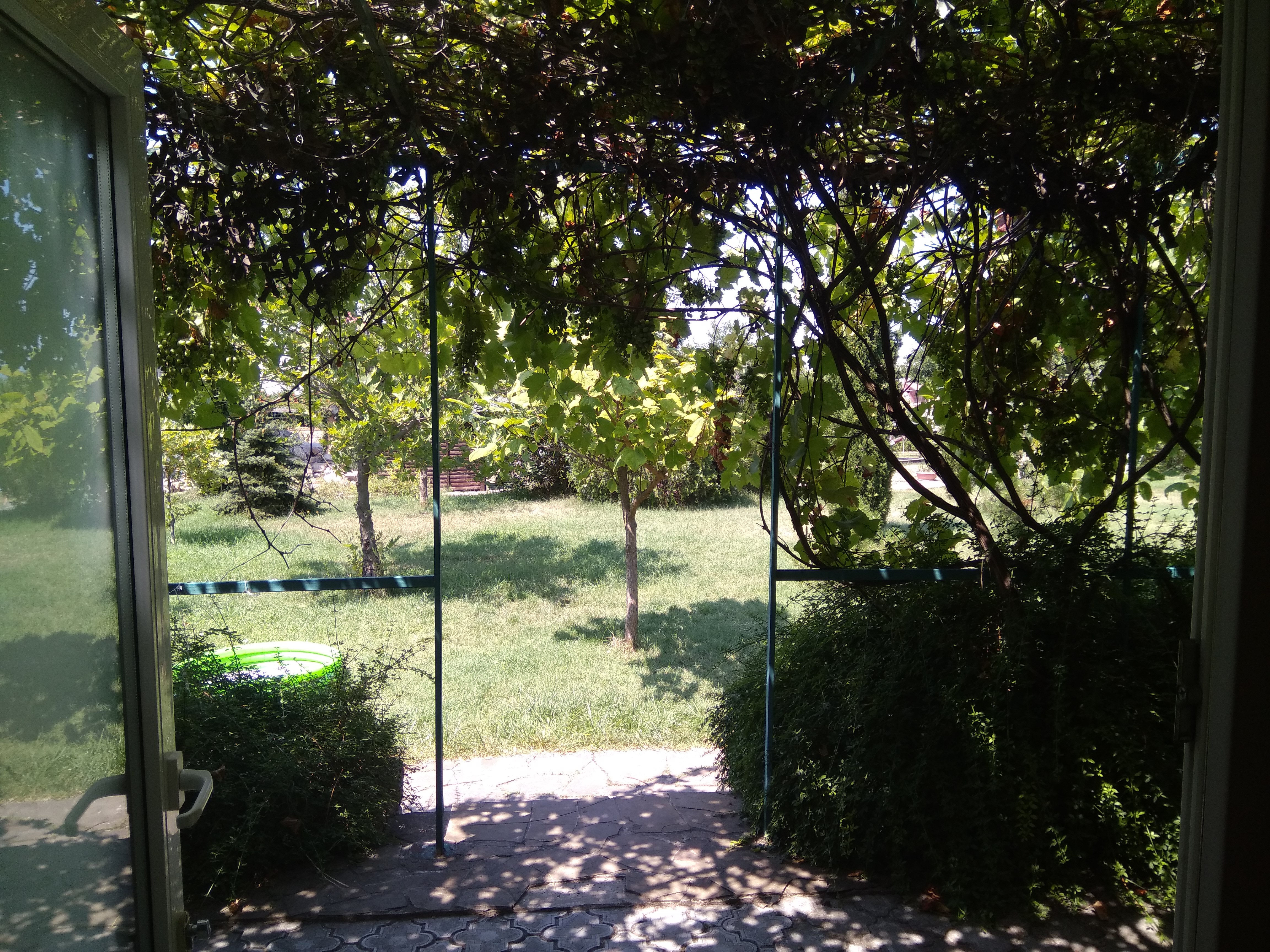 Фото Жемчужина