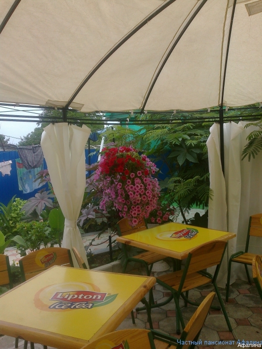 Фото Афалина