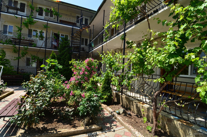 Фото Фортуна