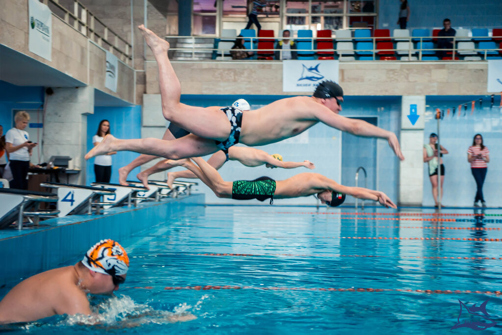 Swimming pool Silver Swim, Moscow, photo