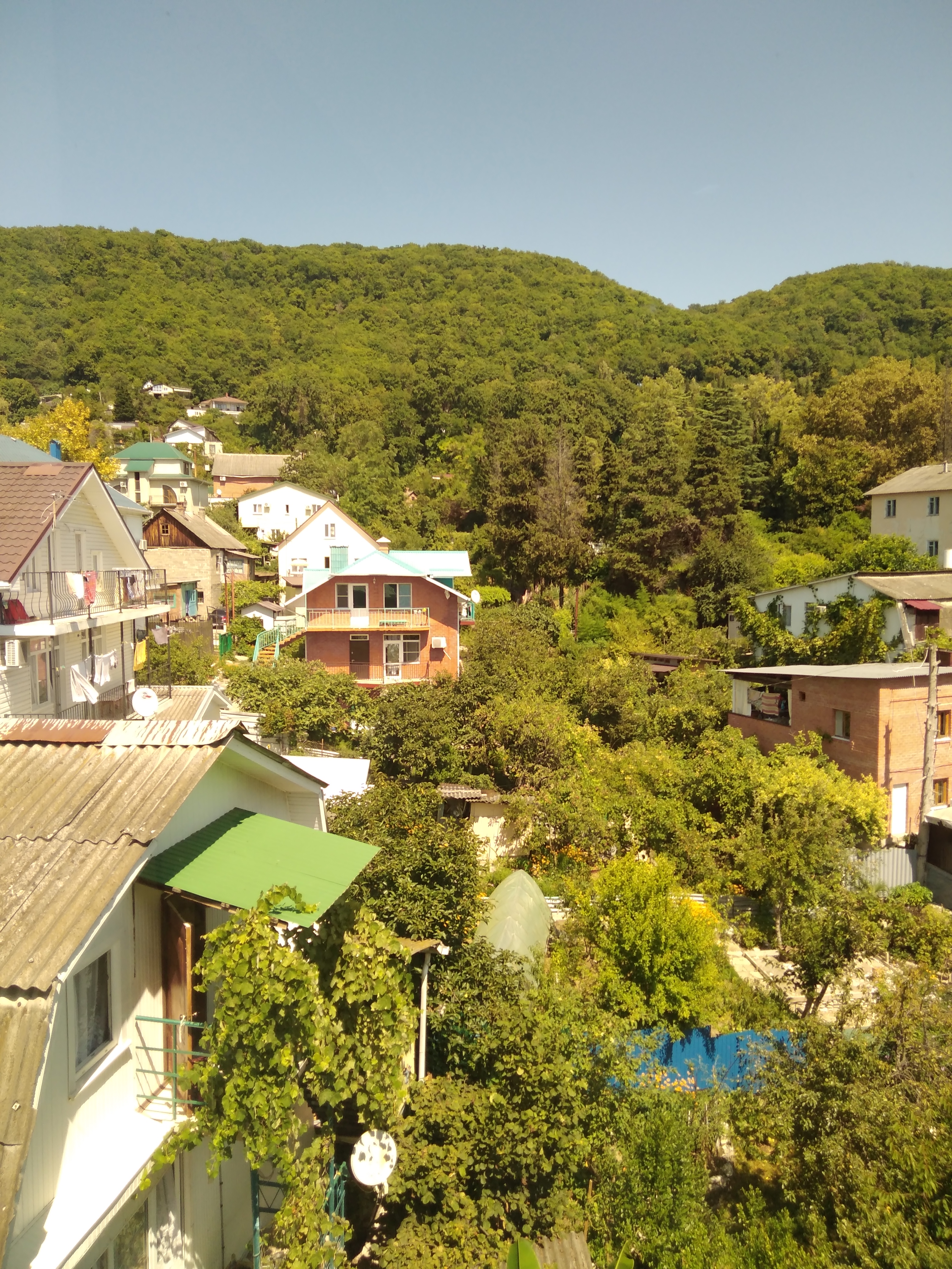 Фото Звезда