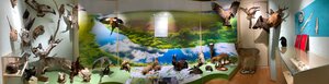 Museum of local history (Town of Gai, ulitsa Lenina, 42), museo