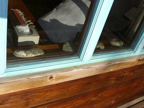 Гостиница Brigitte's Bavarian B&b в Хомере