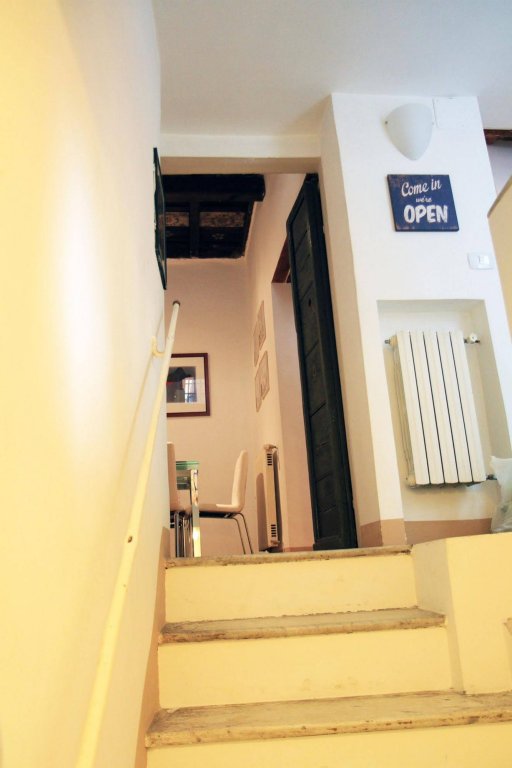 Фото Purple Home Tulip