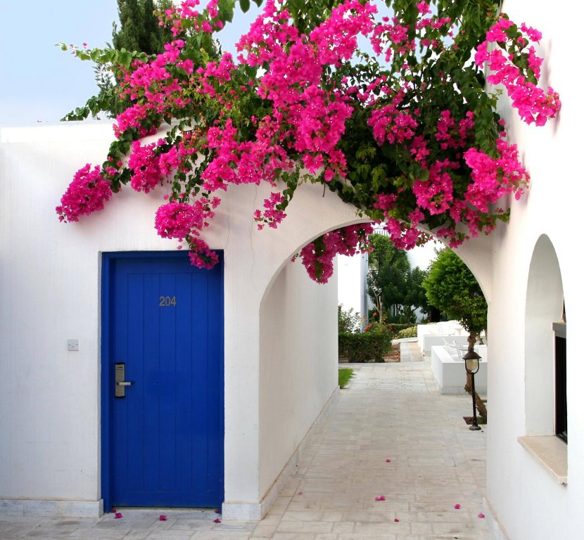 Фото Aliathon Aegean