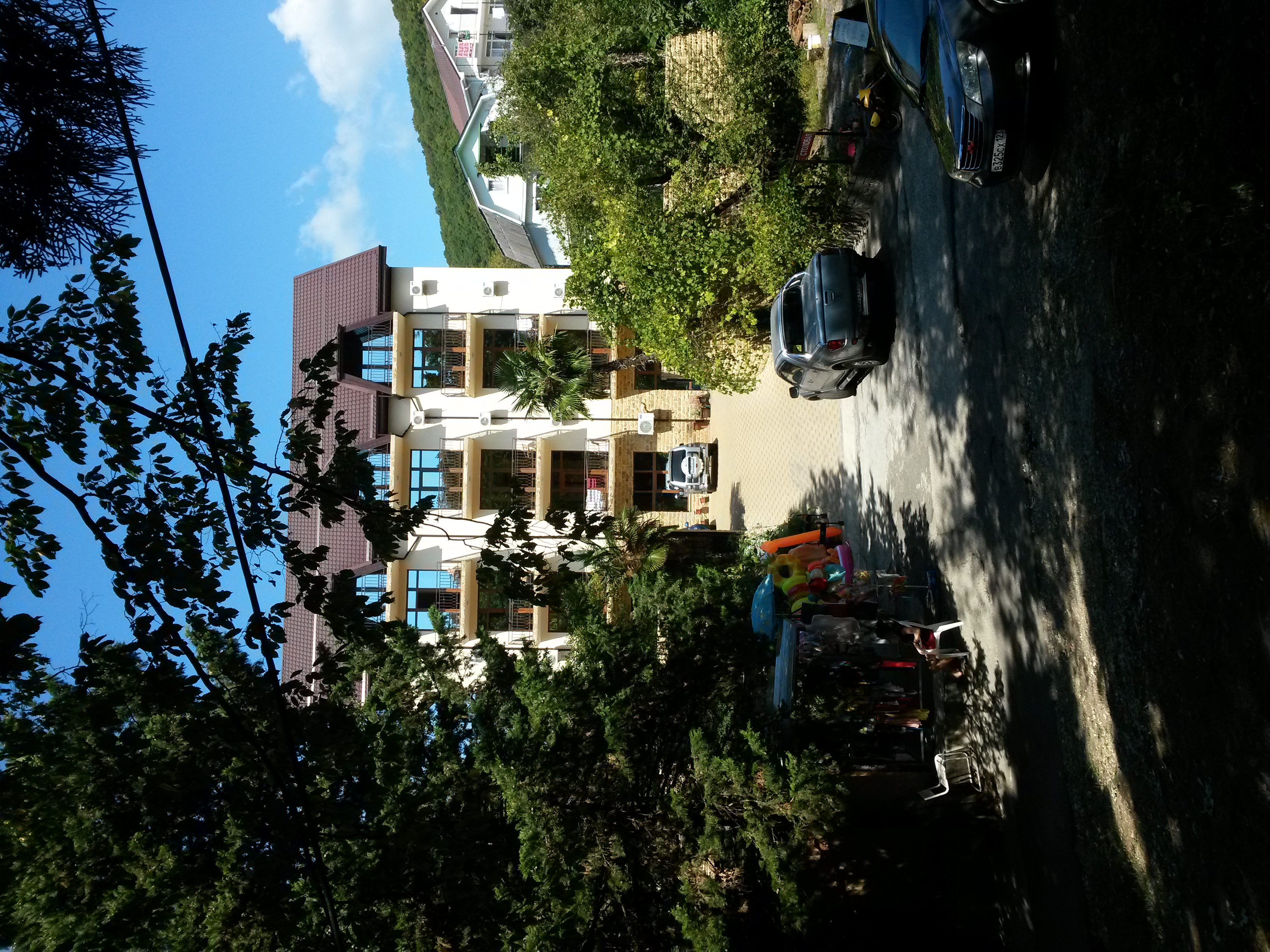 Фото Звезда