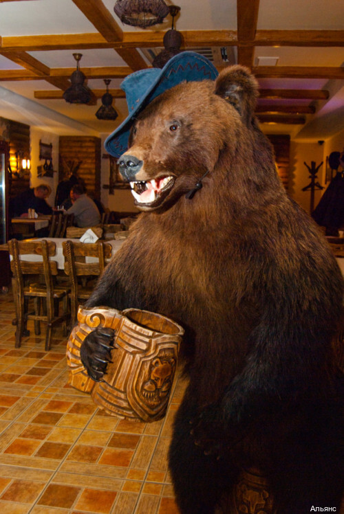 Фото Альянс