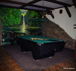 Фото Магнат